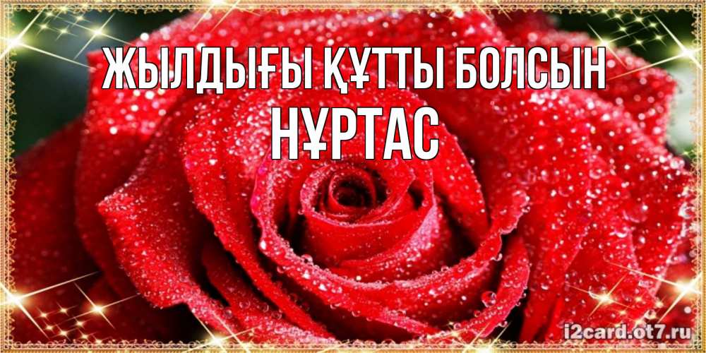 Күн сайын ашық хат с именем, НҰРТАС Жылдығы құтты болсын роса и роза. открытка с красивой розой Онлайн тегін жүктеп алу тілектері бар керемет карта 