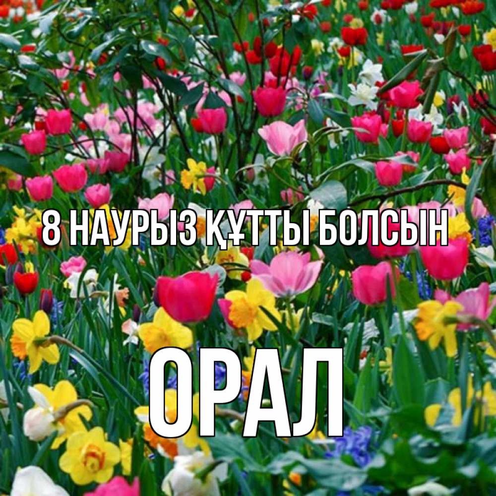 Күн сайын ашық хат с именем, ОРАЛ 8 наурыз құтты болсын с международным женским днем поздравления для женщины Онлайн тегін жүктеп алу тілектері бар керемет карта 