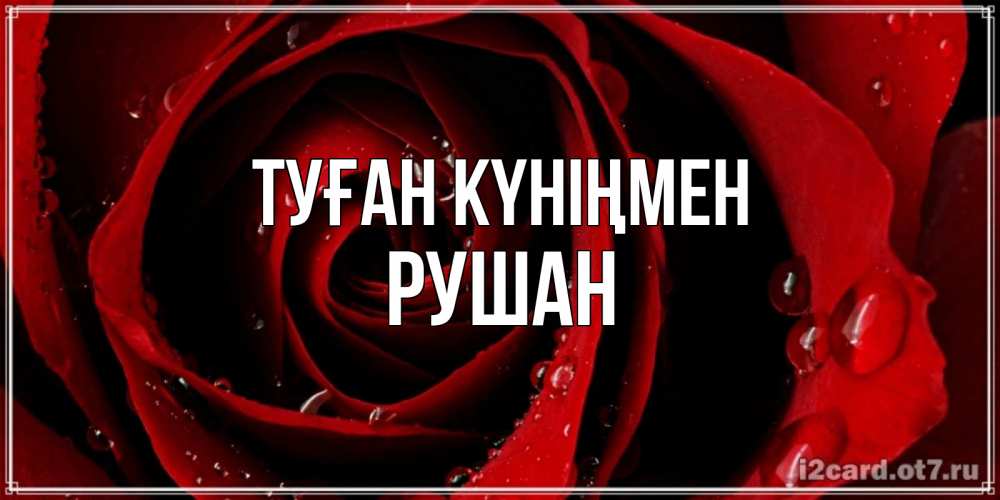 Күн сайын ашық хат с именем, Рушан Туған күніңмен крупная бордовая роза Онлайн тегін жүктеп алу тілектері бар керемет карта 