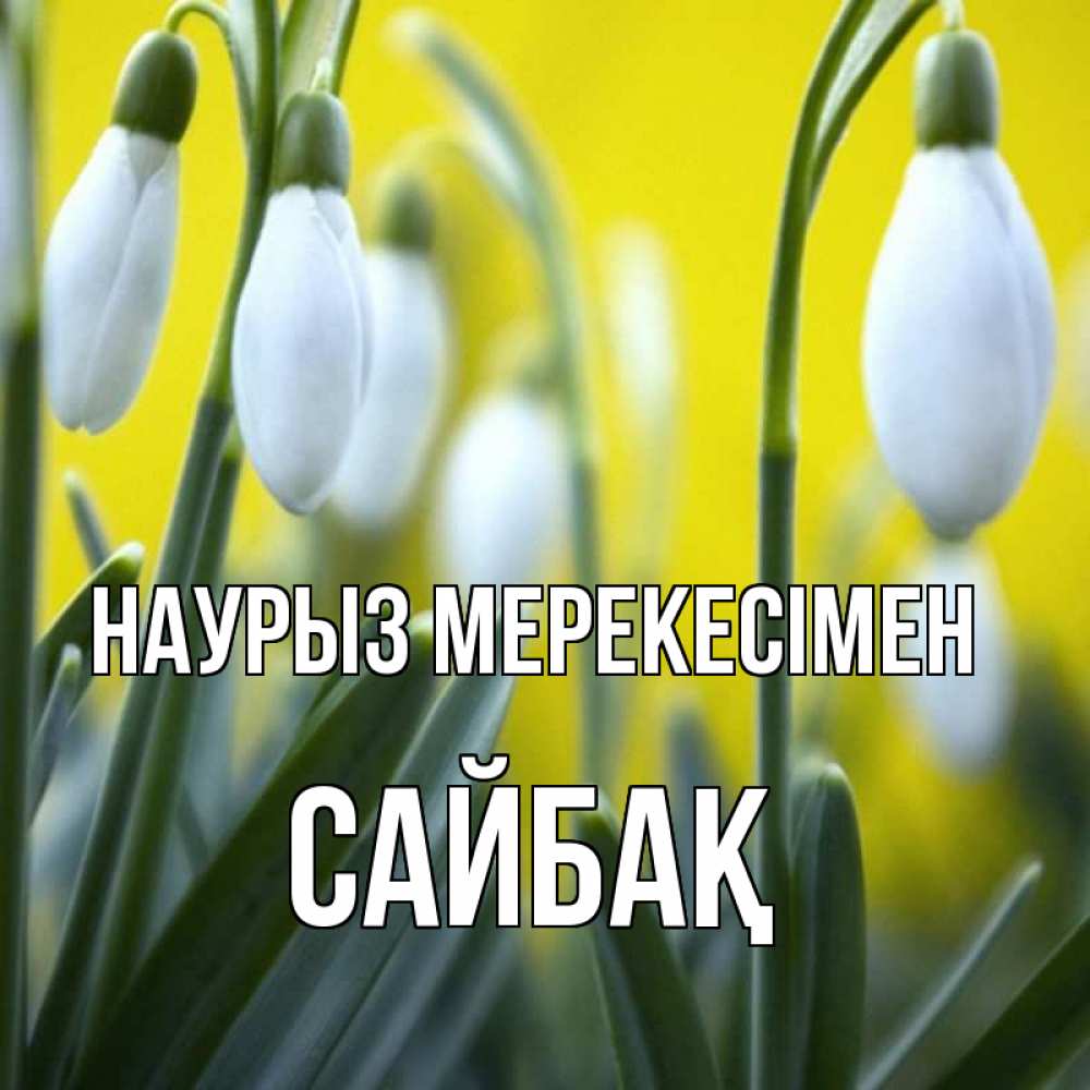 Күн сайын ашық хат с именем, САЙБАҚ Наурыз мерекесімен весенние цветы Онлайн тегін жүктеп алу тілектері бар керемет карта 