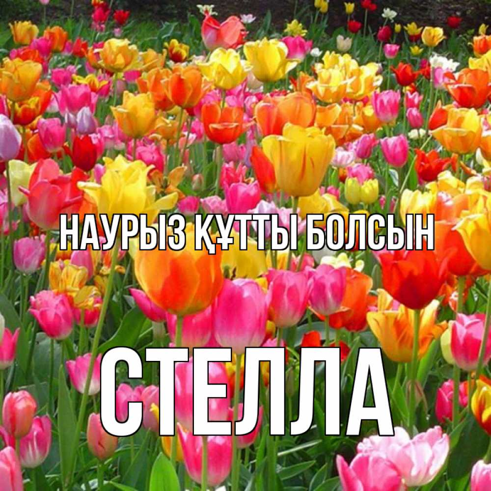 Күн сайын ашық хат с именем, Стелла Наурыз құтты болсын на наурыз  ура ура Онлайн тегін жүктеп алу тілектері бар керемет карта 