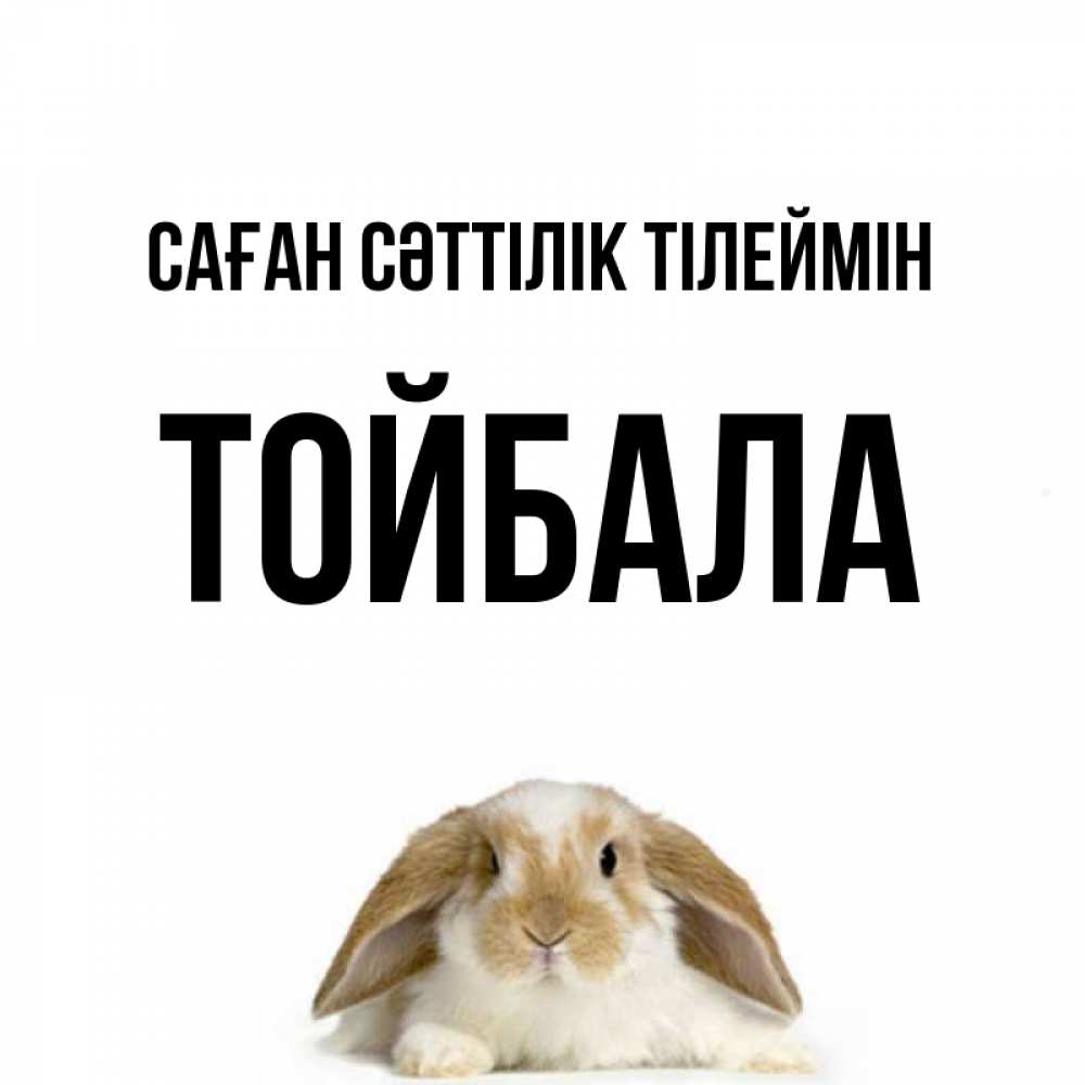 Күн сайын ашық хат с именем, ТОЙБАЛА Саған сәттілік тілеймін открытки с произвольным текстом который можно вставить в открытку и создать ее самостоятельно бесплатно онлайн Онлайн тегін жүктеп алу тілектері бар керемет карта 