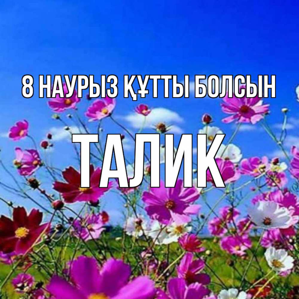 Күн сайын ашық хат с именем, Талик 8 наурыз құтты болсын цветы Онлайн тегін жүктеп алу тілектері бар керемет карта 
