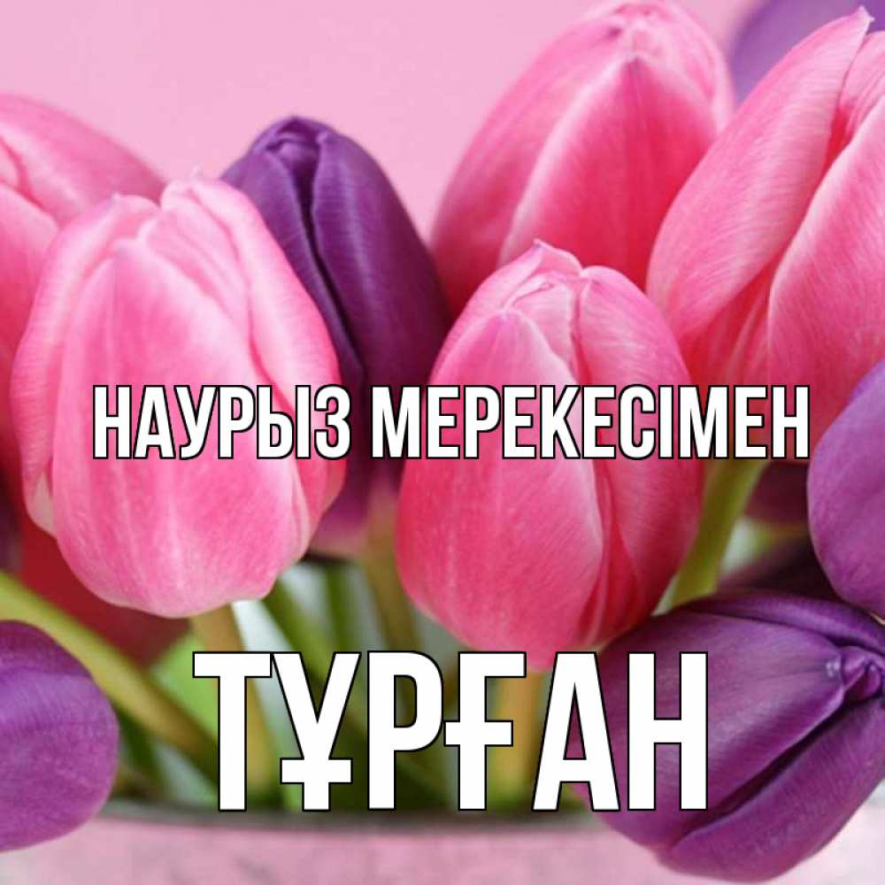 Күн сайын ашық хат с именем, ТҰРҒАН Наурыз мерекесімен маме 1 Онлайн тегін жүктеп алу тілектері бар керемет карта 