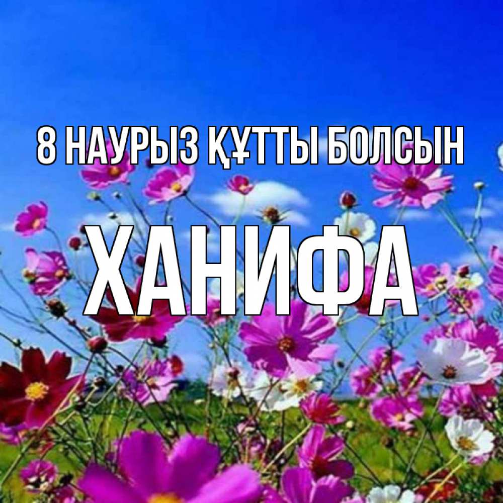 Күн сайын ашық хат с именем, ХАНИФА 8 наурыз құтты болсын цветы Онлайн тегін жүктеп алу тілектері бар керемет карта 