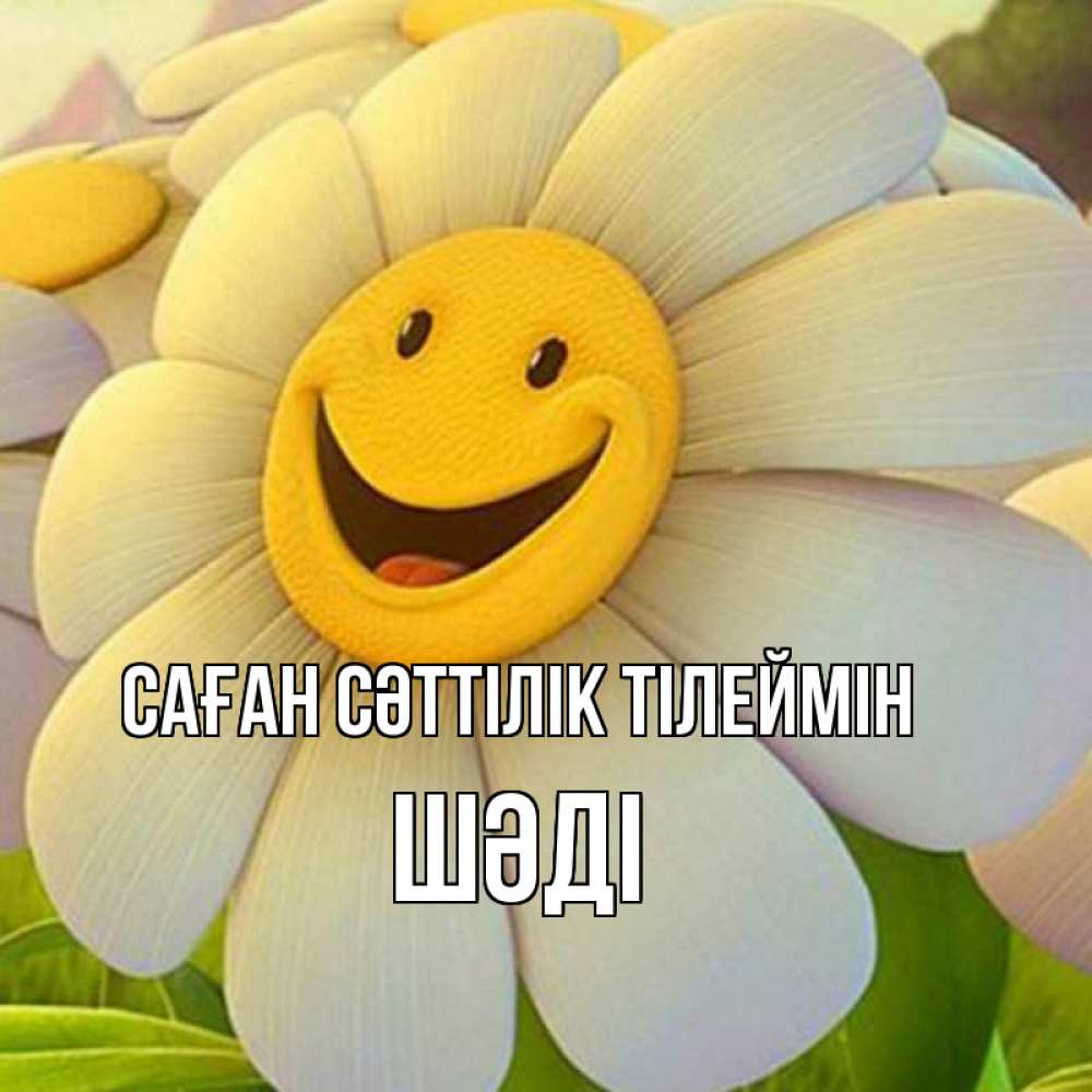Күн сайын ашық хат с именем, ШӘДІ Саған сәттілік тілеймін подписать открытку своим текстом Онлайн тегін жүктеп алу тілектері бар керемет карта 