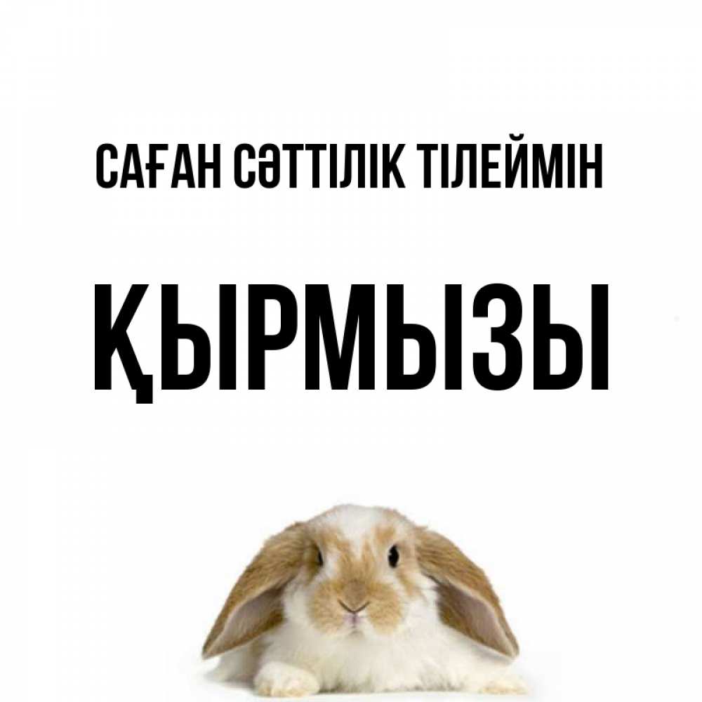 Күн сайын ашық хат с именем, ҚЫРМЫЗЫ Саған сәттілік тілеймін открытки с произвольным текстом который можно вставить в открытку и создать ее самостоятельно бесплатно онлайн Онлайн тегін жүктеп алу тілектері бар керемет карта 