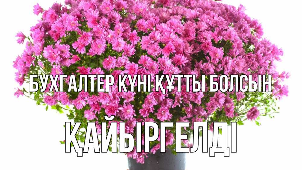 Күн сайын ашық хат с именем, Қайыргелді бухгалтер күні құтты болсын с днем бухгалтера Онлайн тегін жүктеп алу тілектері бар керемет карта 