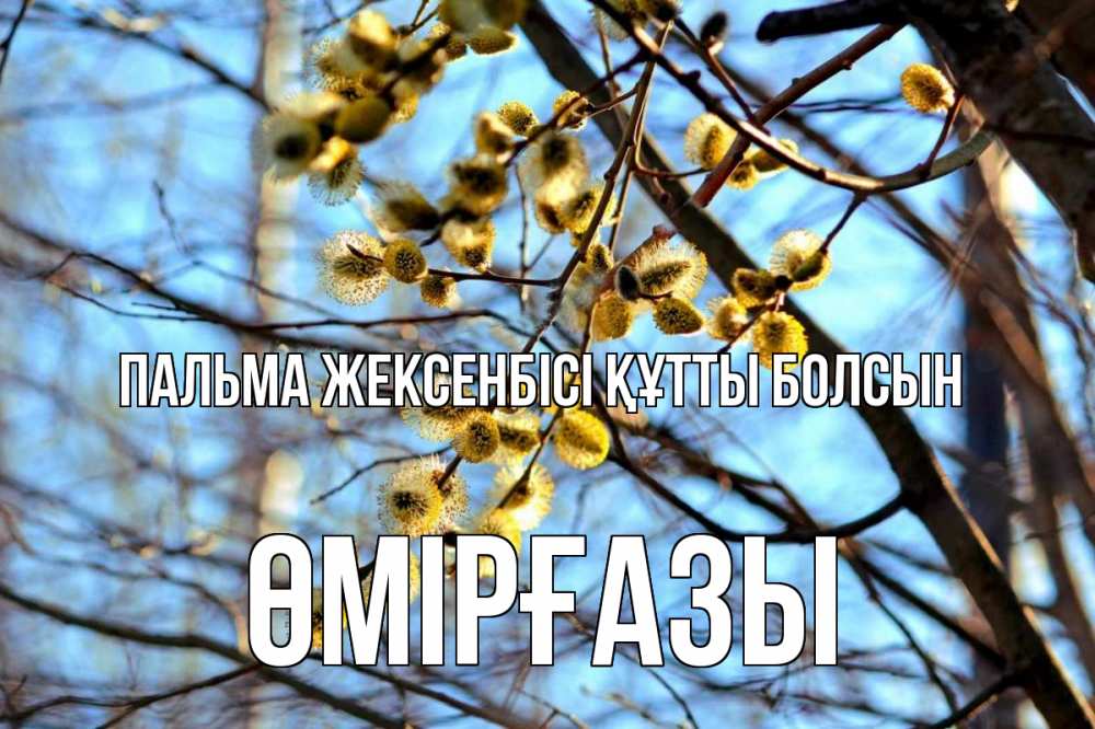 Күн сайын ашық хат с именем, ӨМІРҒАЗЫ Пальма жексенбісі құтты болсын верба Онлайн тегін жүктеп алу тілектері бар керемет карта 