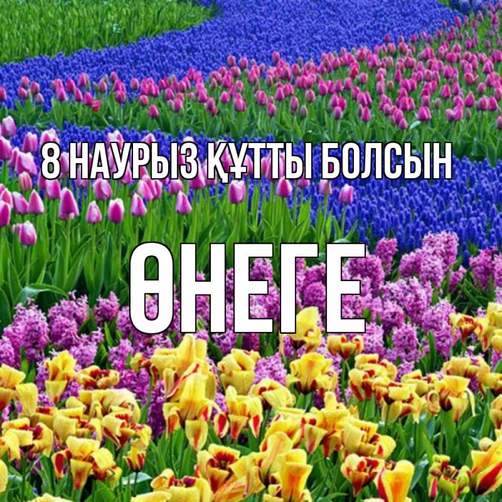 Күн сайын ашық хат с именем, ӨНЕГЕ 8 наурыз құтты болсын цветы Онлайн тегін жүктеп алу тілектері бар керемет карта 