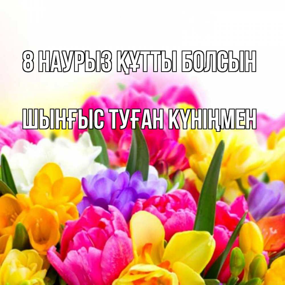 Картинка 8 наурыз құтты болсын, ШЫНҒЫС! ТУҒАН КҮНІҢМЕН!