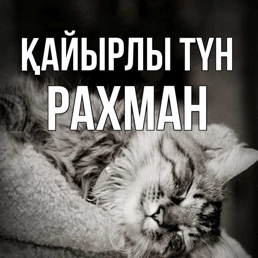 Күн сайын ашық хат с именем, РАХМАН Қайырлы түн котярик пушистый Онлайн тегін жүктеп алу тілектері бар керемет карта 