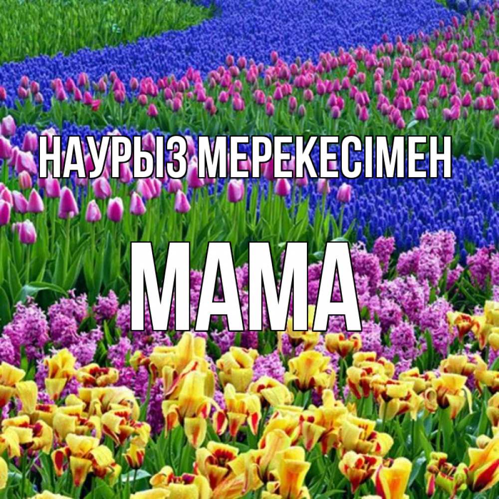 Күн сайын ашық хат с именем, Мама Наурыз мерекесімен цветы Онлайн тегін жүктеп алу тілектері бар керемет карта 