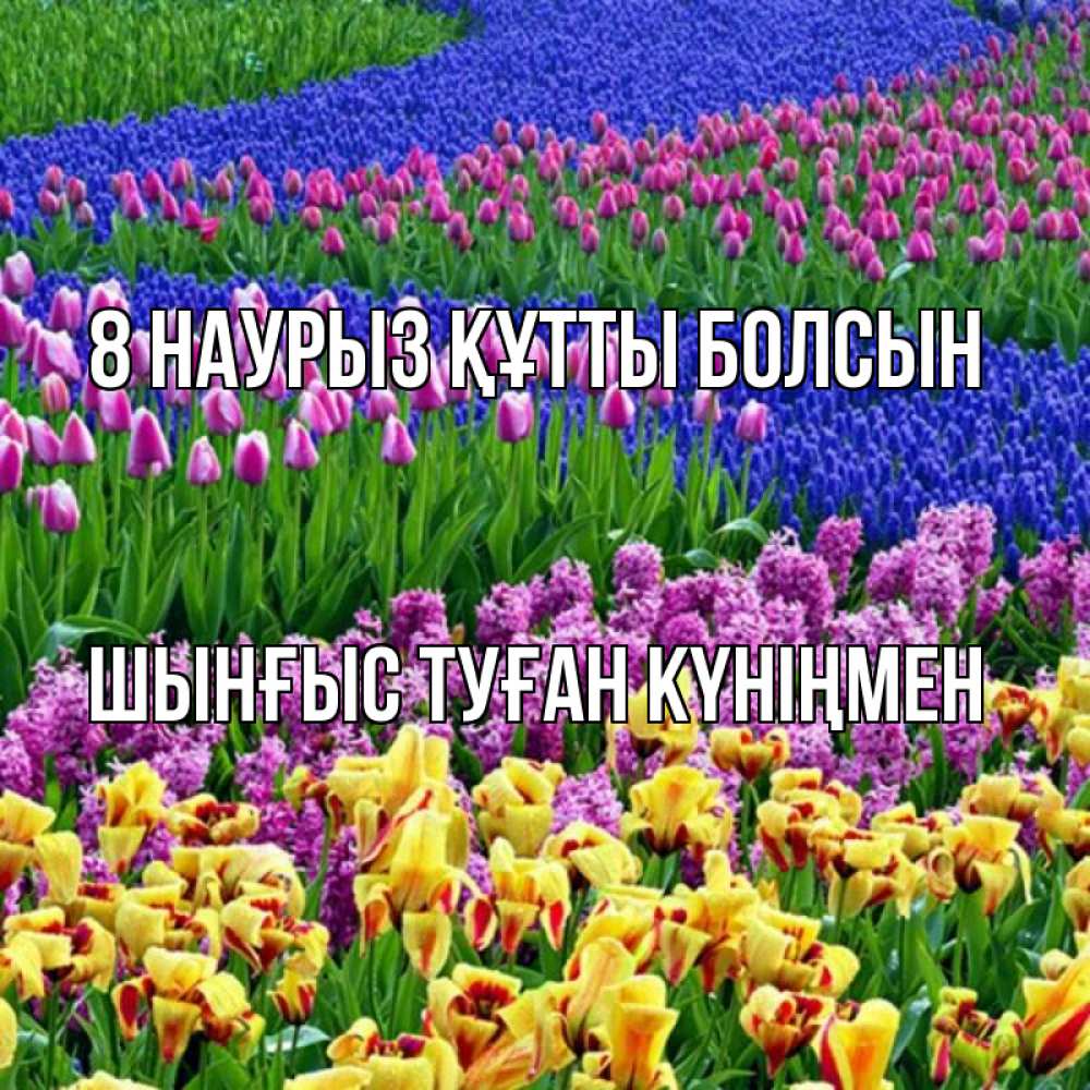 Картинка 8 наурыз құтты болсын, ШЫНҒЫС! ТУҒАН КҮНІҢМЕН!