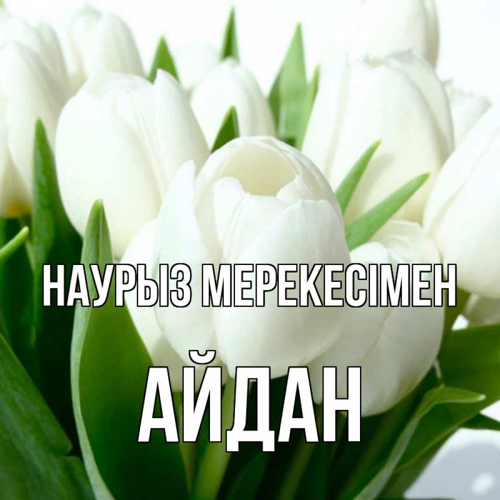 Күн сайын ашық хат с именем, Айдан Наурыз мерекесімен цветы Онлайн тегін жүктеп алу тілектері бар керемет карта 