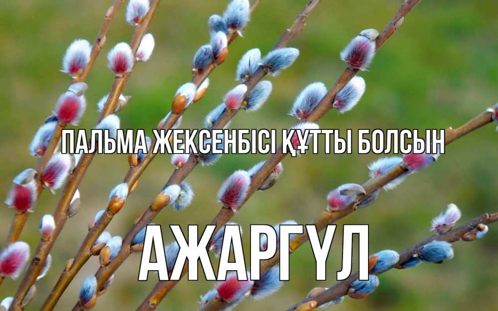 Күн сайын ашық хат с именем, АЖАРГҮЛ Пальма жексенбісі құтты болсын верба Онлайн тегін жүктеп алу тілектері бар керемет карта 
