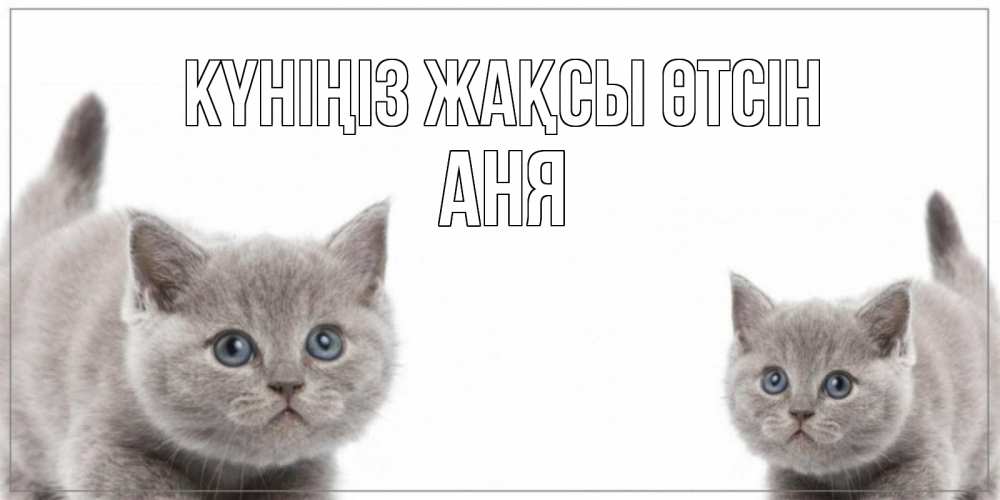 Күн сайын ашық хат с именем, Аня Күніңіз жақсы өтсін открытка с котами Онлайн тегін жүктеп алу тілектері бар керемет карта 