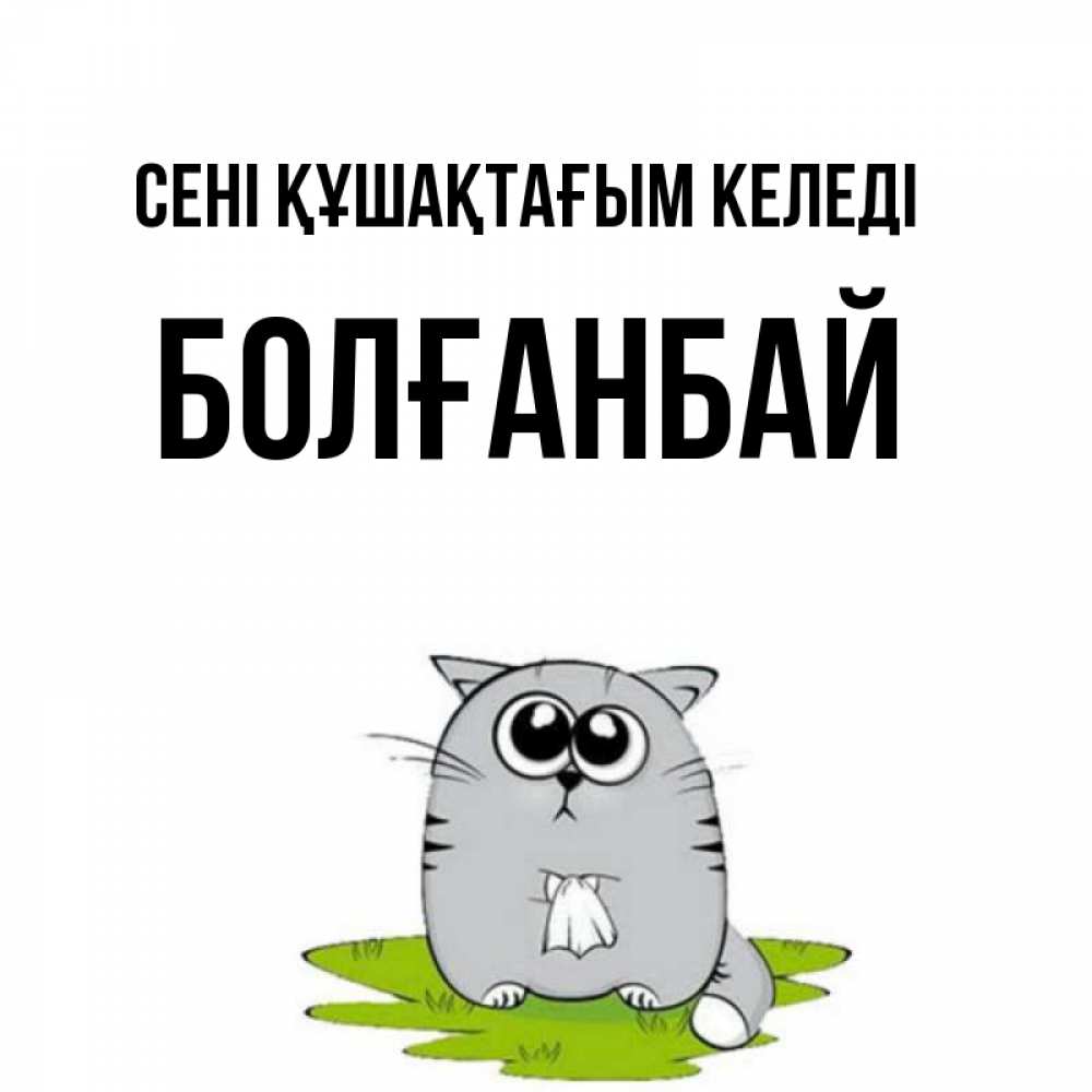 Күн сайын ашық хат с именем, Болғанбай сені құшақтағым келеді котик теребит платочек сидя на травке Онлайн тегін жүктеп алу тілектері бар керемет карта 