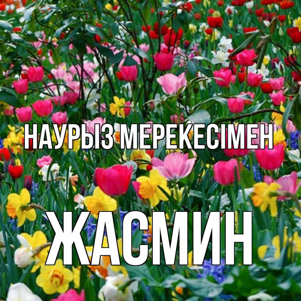 Күн сайын ашық хат с именем, Жасмин Наурыз мерекесімен с наурызом праздником весны поздравления для женщины Онлайн тегін жүктеп алу тілектері бар керемет карта 
