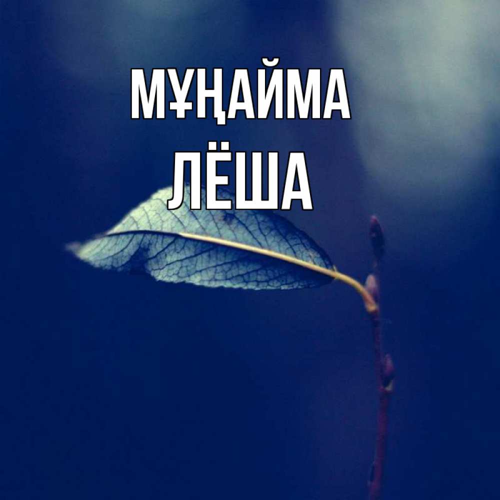 Күн сайын ашық хат с именем, Лёша Мұңайма растение Онлайн тегін жүктеп алу тілектері бар керемет карта 