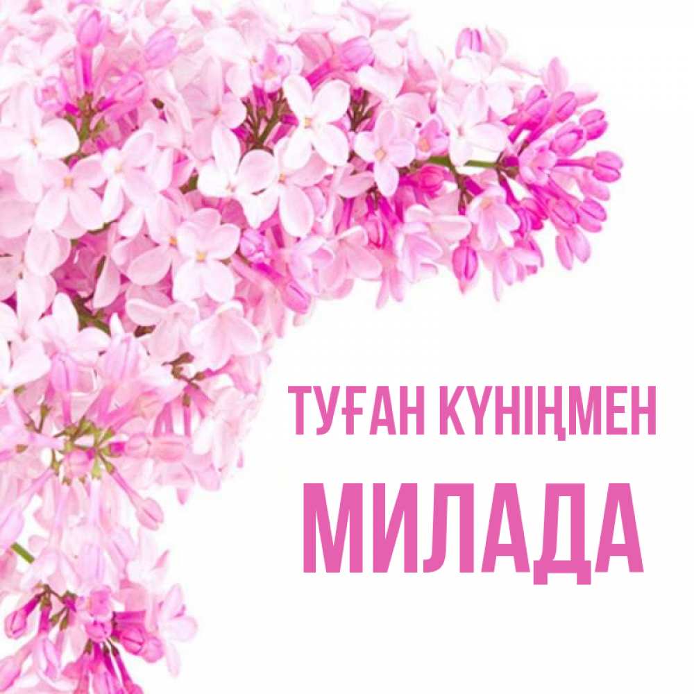 Күн сайын ашық хат с именем, Милада Туған күніңмен Сирень на белом фоне Онлайн тегін жүктеп алу тілектері бар керемет карта 