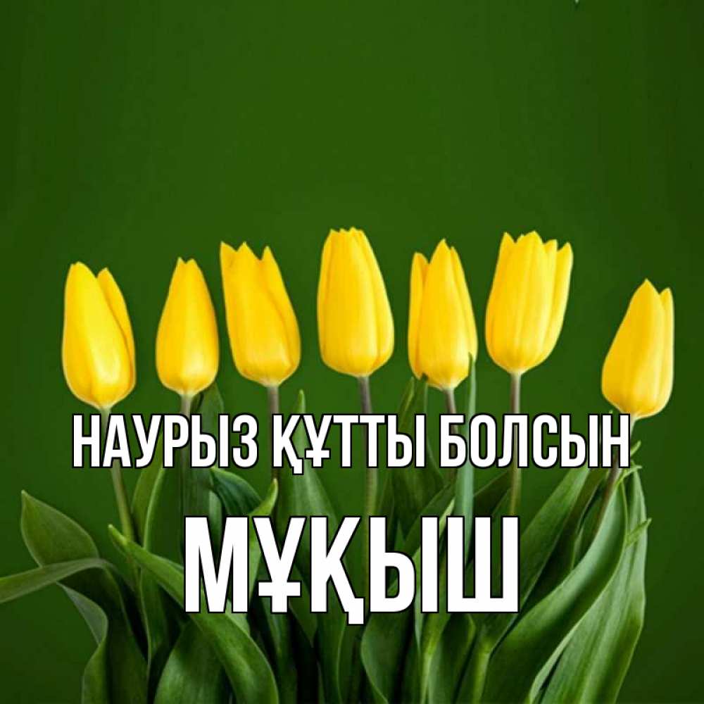 Күн сайын ашық хат с именем, Мұқыш Наурыз құтты болсын желтого цвета 3 Онлайн тегін жүктеп алу тілектері бар керемет карта 