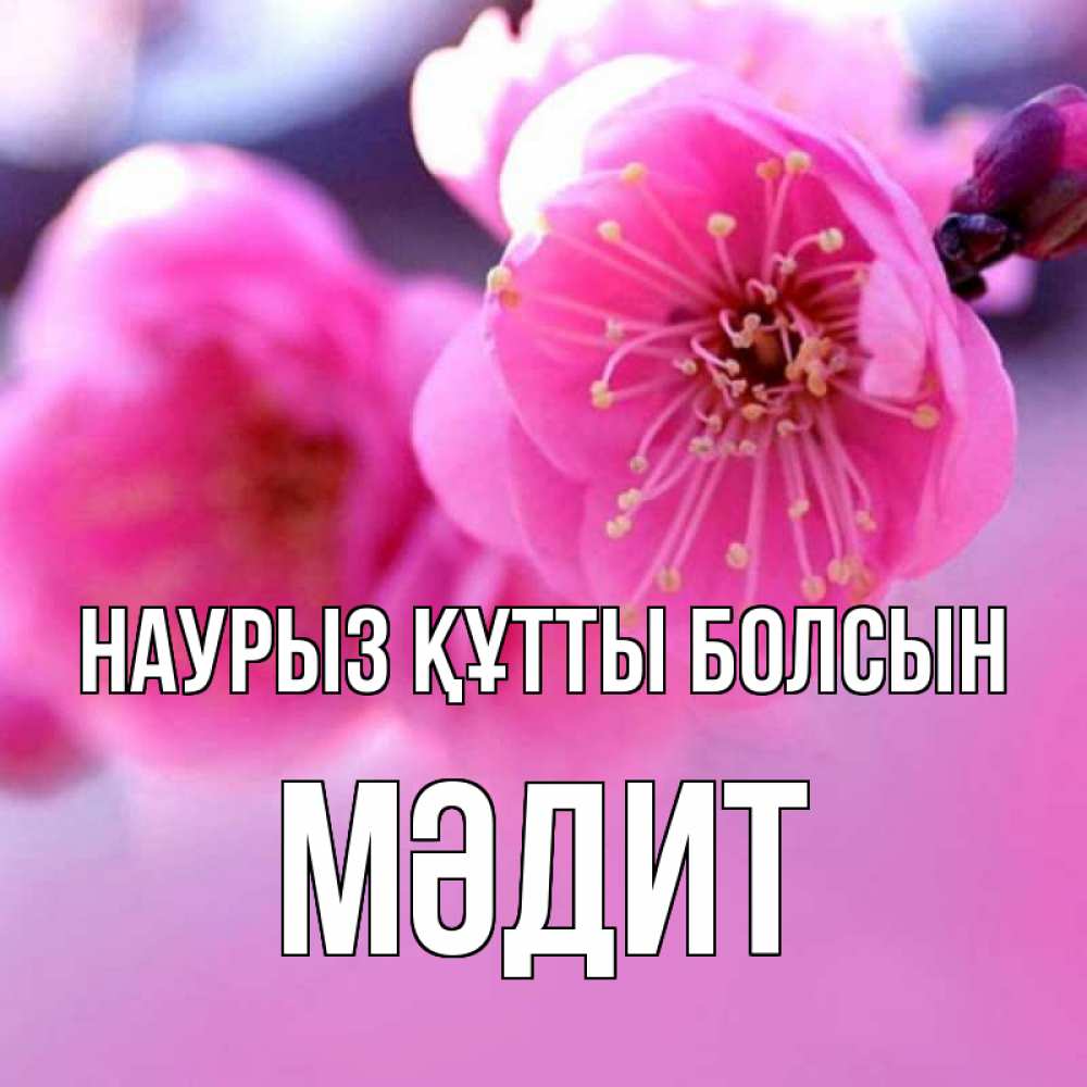 Күн сайын ашық хат с именем, МӘДИТ Наурыз құтты болсын наурыз мейрам Онлайн тегін жүктеп алу тілектері бар керемет карта 