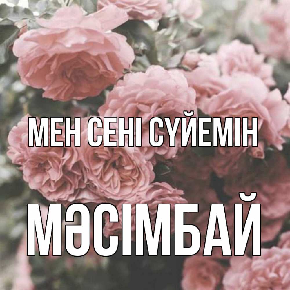 Күн сайын ашық хат с именем, МӘСІМБАЙ Мен сені сүйемін розы 3 Онлайн тегін жүктеп алу тілектері бар керемет карта 