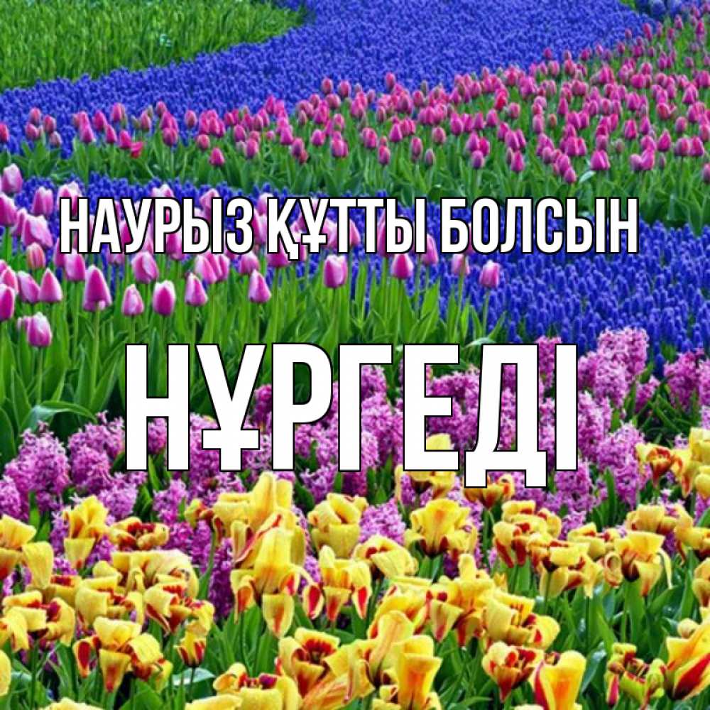 Күн сайын ашық хат с именем, НҰРГЕДІ Наурыз құтты болсын цветы Онлайн тегін жүктеп алу тілектері бар керемет карта 