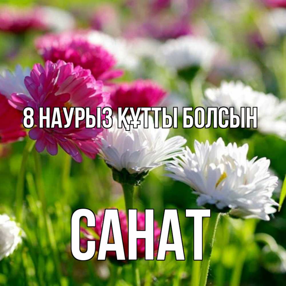 Күн сайын ашық хат с именем, САНАТ 8 наурыз құтты болсын международный женский день 1 Онлайн тегін жүктеп алу тілектері бар керемет карта 