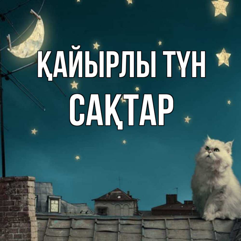 Күн сайын ашық хат с именем, САҚТАР Қайырлы түн белый кот сидит на крыше Онлайн тегін жүктеп алу тілектері бар керемет карта 