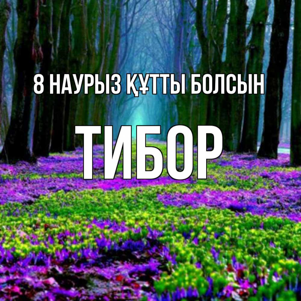 Күн сайын ашық хат с именем, Тибор 8 наурыз құтты болсын фиолетовые цветы в лесу 1 Онлайн тегін жүктеп алу тілектері бар керемет карта 