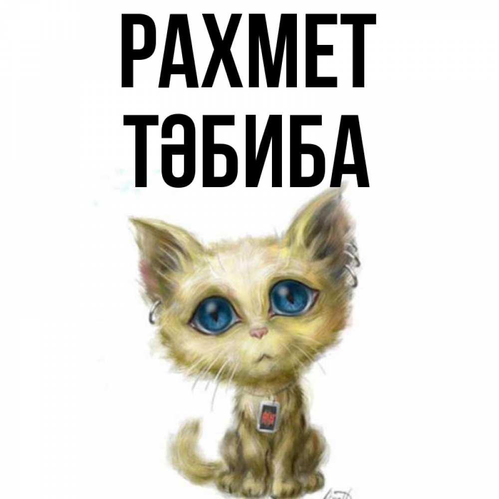 Күн сайын ашық хат с именем, ТӘБИБА рахмет рисованный кот благодарит вас Онлайн тегін жүктеп алу тілектері бар керемет карта 
