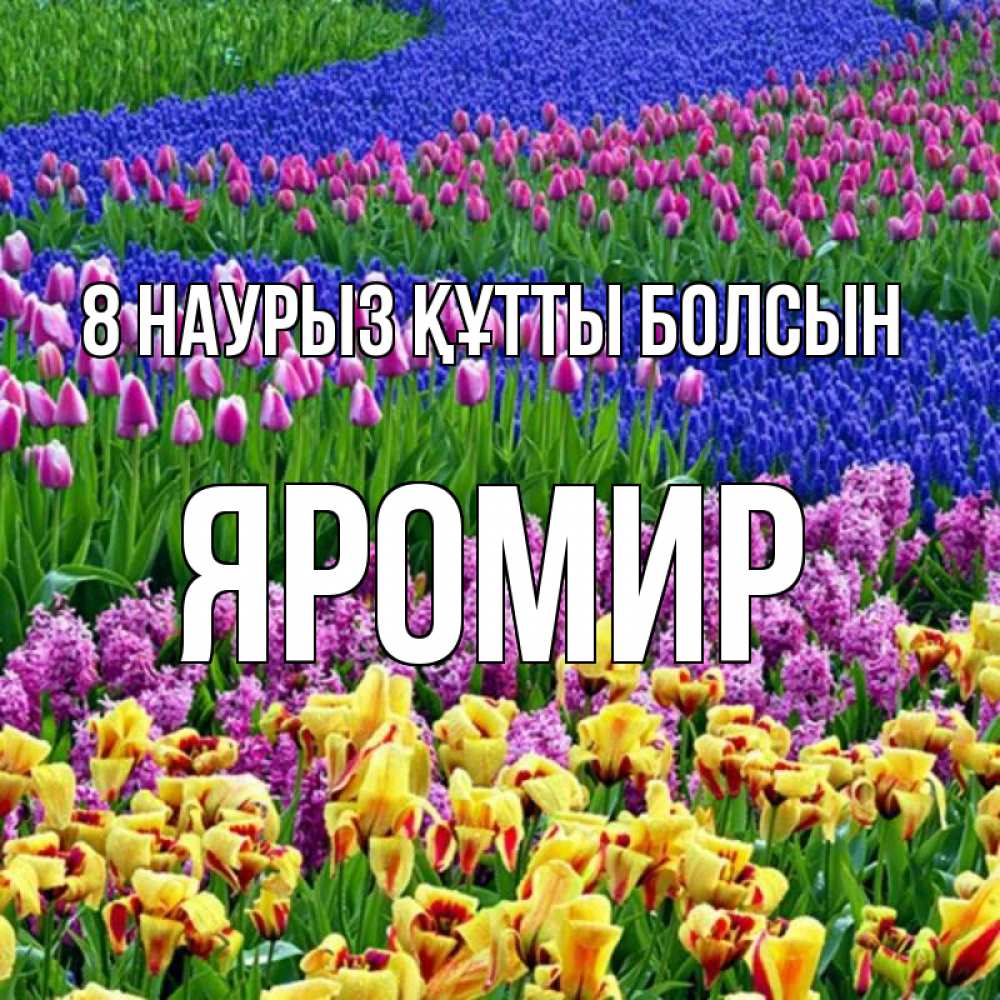 Күн сайын ашық хат с именем, Яромир 8 наурыз құтты болсын цветы Онлайн тегін жүктеп алу тілектері бар керемет карта 