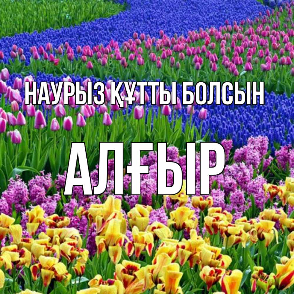 Күн сайын ашық хат с именем, Алғыр Наурыз құтты болсын цветы Онлайн тегін жүктеп алу тілектері бар керемет карта 