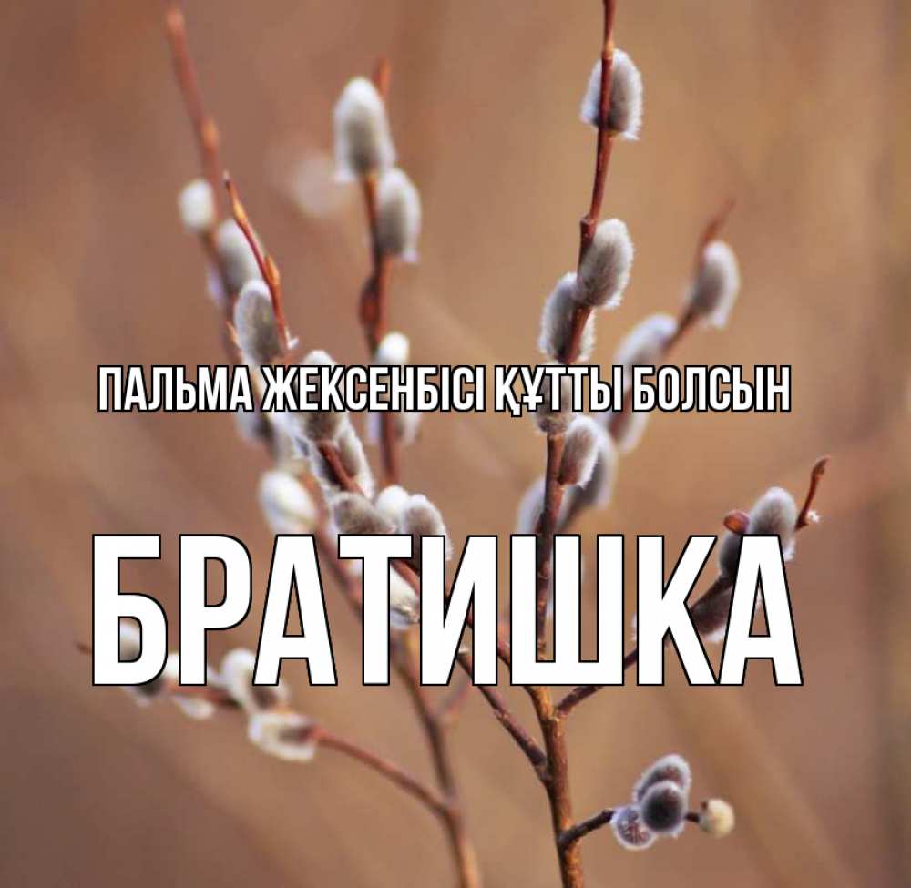 Күн сайын ашық хат с именем, Братишка Пальма жексенбісі құтты болсын верба Онлайн тегін жүктеп алу тілектері бар керемет карта 