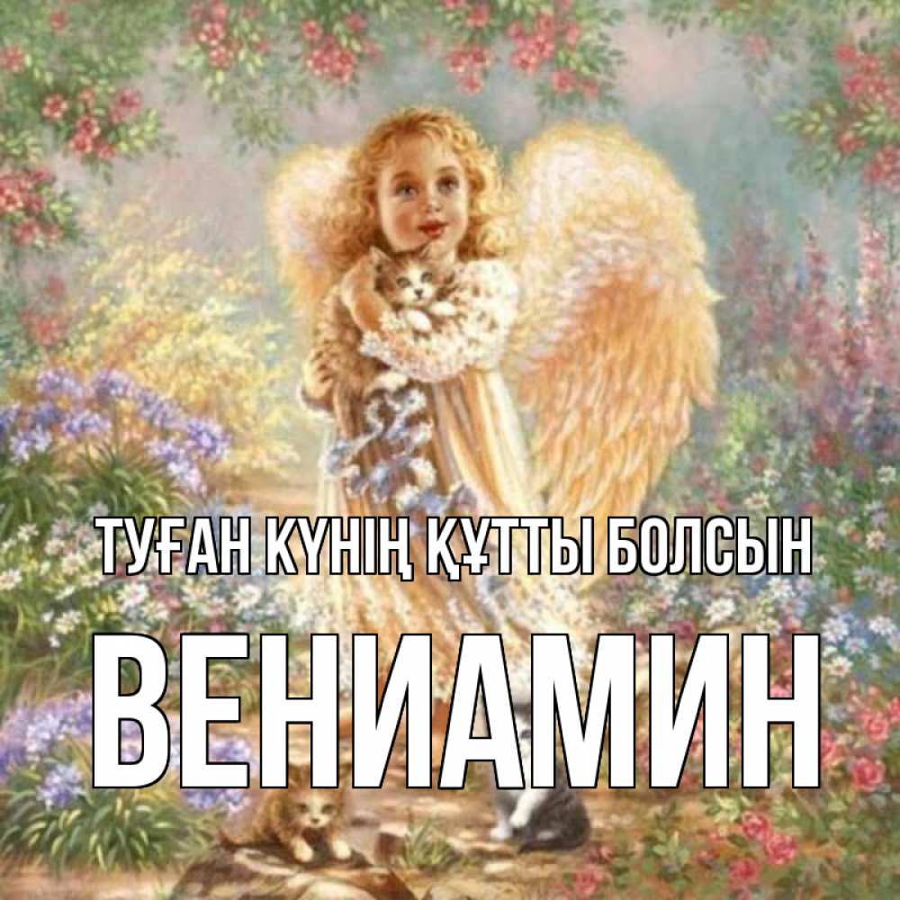 Күн сайын ашық хат с именем, Вениамин Туған күнің құтты болсын держит котенка Онлайн тегін жүктеп алу тілектері бар керемет карта 
