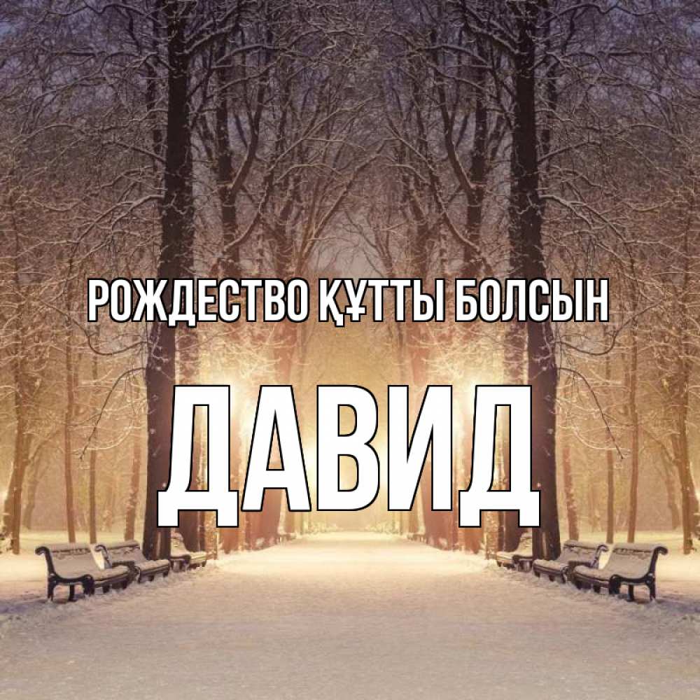 Күн сайын ашық хат с именем, Давид Рождество құтты болсын зима, парк, фонарь, лес Онлайн тегін жүктеп алу тілектері бар керемет карта 