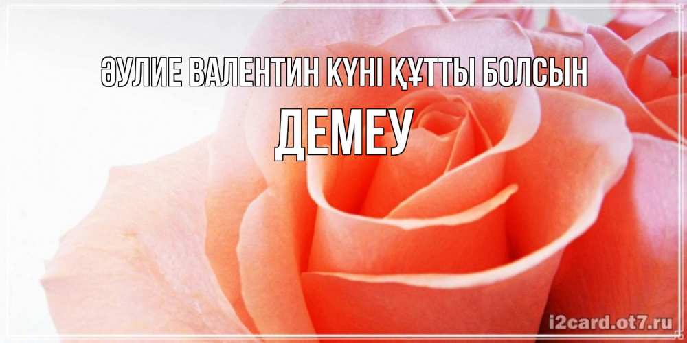Күн сайын ашық хат с именем, Демеу Әулие Валентин күні құтты болсын открытка на день Святого Валентина с розовой розой Онлайн тегін жүктеп алу тілектері бар керемет карта 