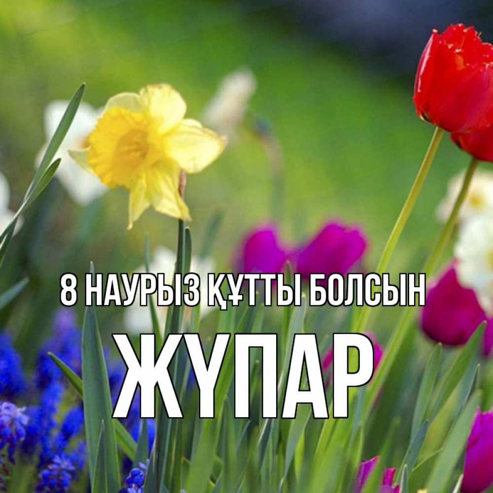 Күн сайын ашық хат с именем, ЖҮПАР 8 наурыз құтты болсын международный женский день 3 Онлайн тегін жүктеп алу тілектері бар керемет карта 