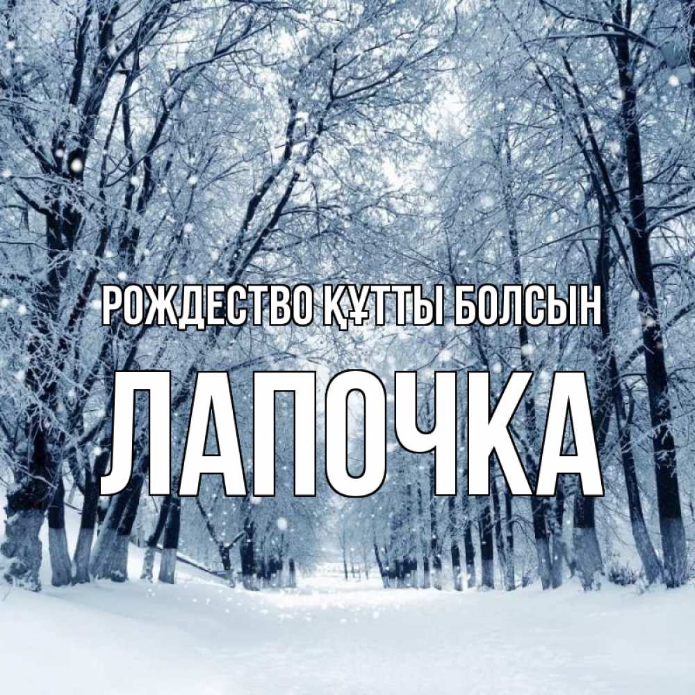 Күн сайын ашық хат с именем, Лапочка Рождество құтты болсын снег, лес, парк Онлайн тегін жүктеп алу тілектері бар керемет карта 