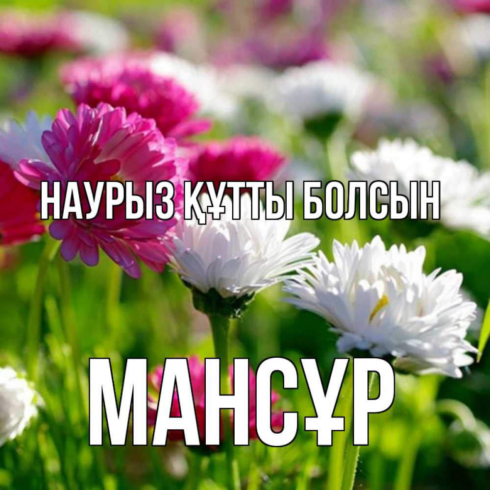 Күн сайын ашық хат с именем, МАНСҰР Наурыз құтты болсын наурыз Онлайн тегін жүктеп алу тілектері бар керемет карта 
