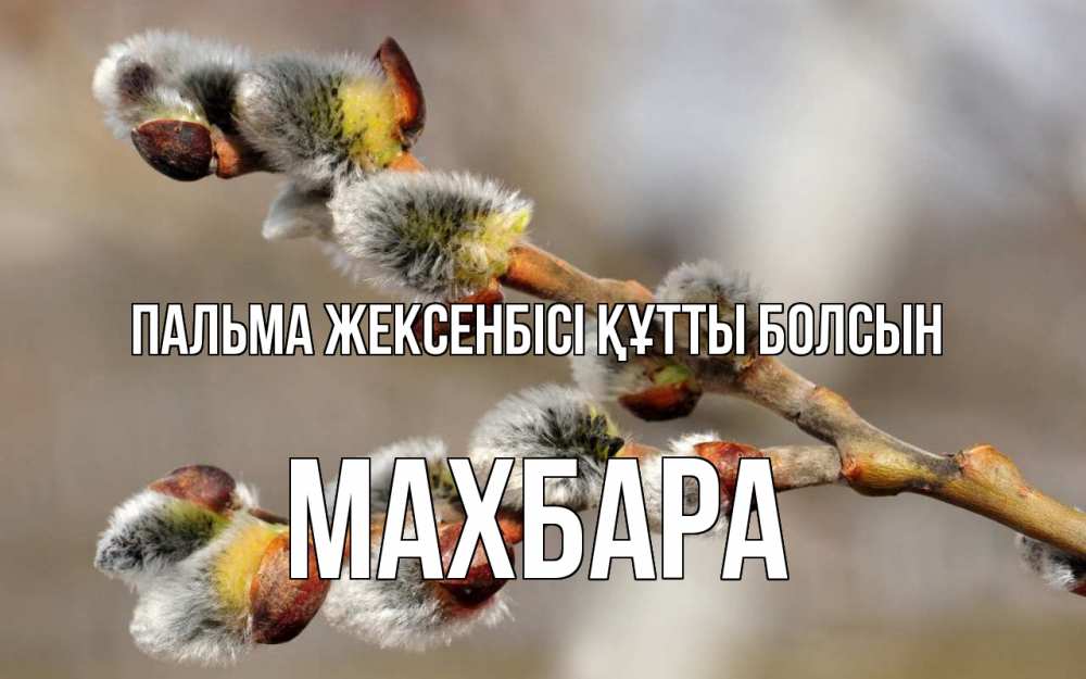 Күн сайын ашық хат с именем, МАХБАРА Пальма жексенбісі құтты болсын Верба Онлайн тегін жүктеп алу тілектері бар керемет карта 
