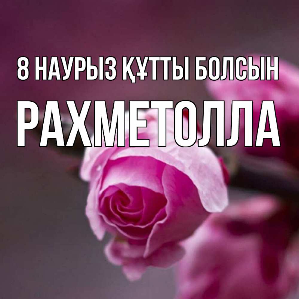 Күн сайын ашық хат с именем, РАХМЕТОЛЛА 8 наурыз құтты болсын весна Онлайн тегін жүктеп алу тілектері бар керемет карта 