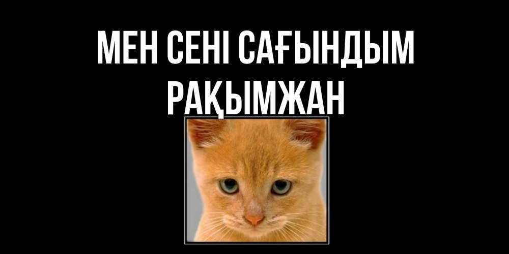 Күн сайын ашық хат с именем, Рақымжан Мен сені сағындым открытки рыжий котенок скучает по тебе Онлайн тегін жүктеп алу тілектері бар керемет карта 
