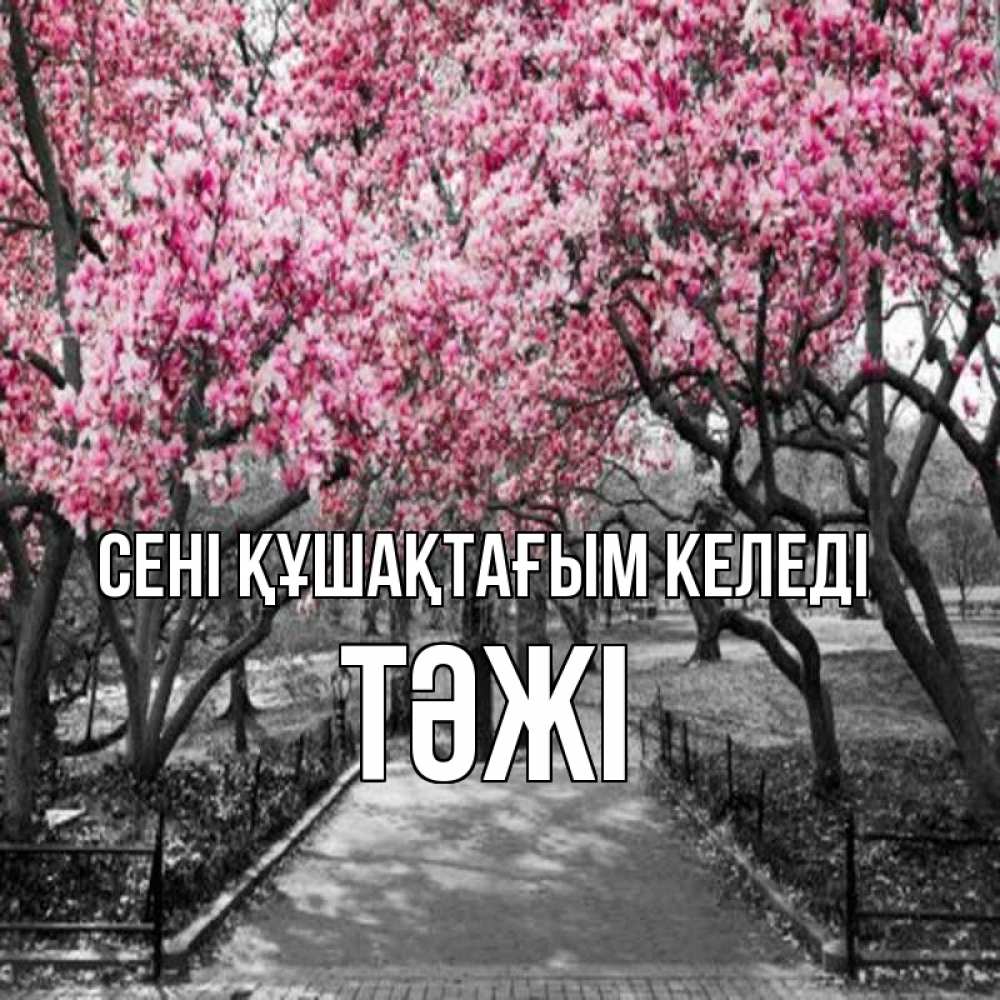 Күн сайын ашық хат с именем, ТӘЖІ сені құшақтағым келеді обработанное фото Онлайн тегін жүктеп алу тілектері бар керемет карта 
