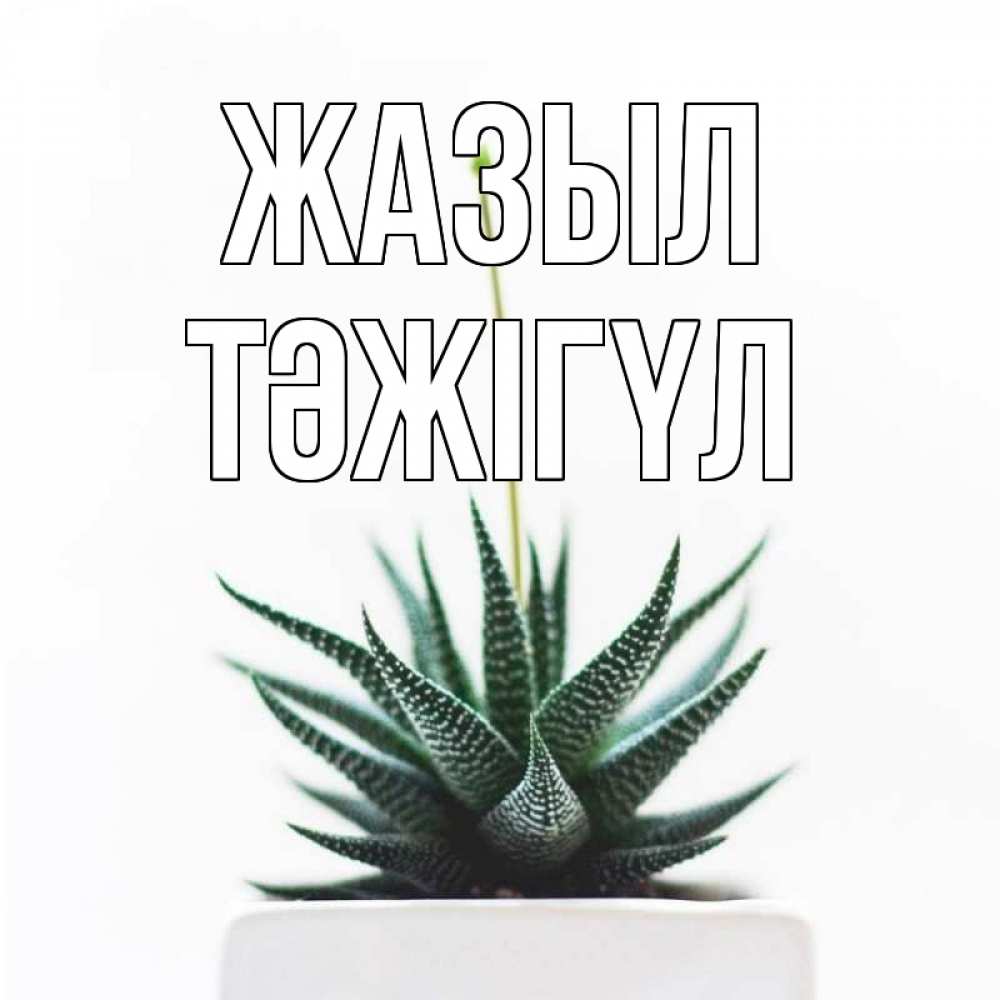 Күн сайын ашық хат с именем, ТӘЖІГҮЛ Жазыл короче это непонятная колючка Онлайн тегін жүктеп алу тілектері бар керемет карта 
