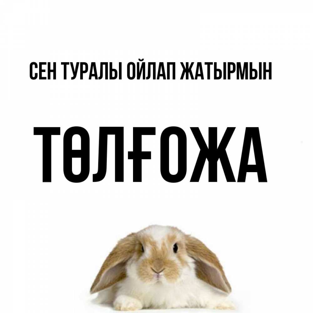 Күн сайын ашық хат с именем, ТӨЛҒОЖА Сен туралы ойлап жатырмын подписать своими руками онлайн Онлайн тегін жүктеп алу тілектері бар керемет карта 