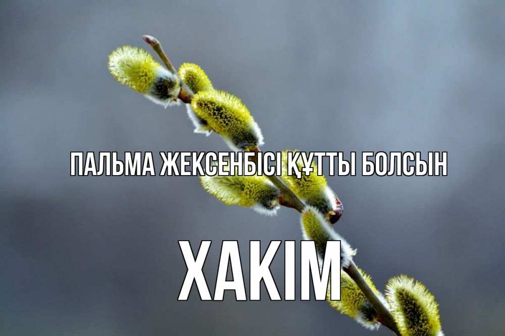 Күн сайын ашық хат с именем, ХАКІМ Пальма жексенбісі құтты болсын верба Онлайн тегін жүктеп алу тілектері бар керемет карта 