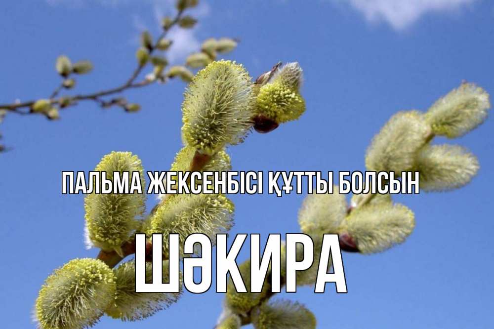 Күн сайын ашық хат с именем, ШӘКИРА Пальма жексенбісі құтты болсын верба Онлайн тегін жүктеп алу тілектері бар керемет карта 